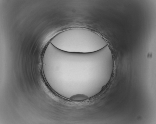 X0000115290005200911161645