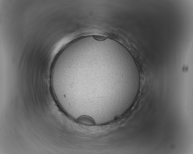 X0000115290006200911161645