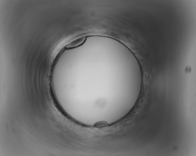 X0000115290007200911161645