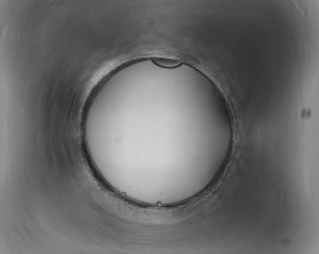 X0000115290008200911161645