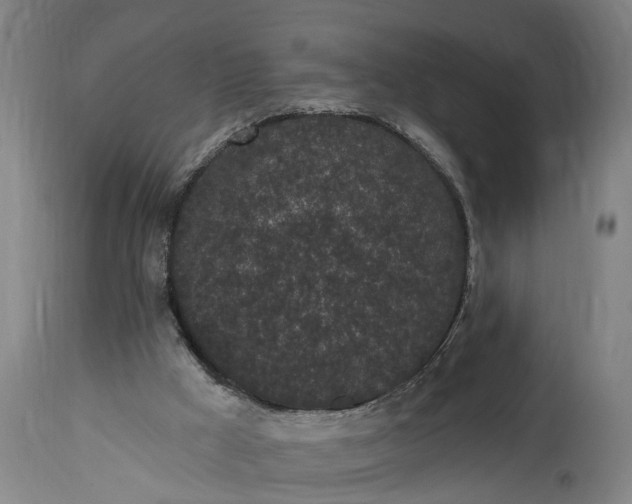 X0000115290009200911161645