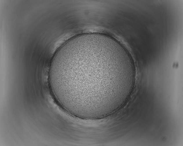 X0000115290010200911161645
