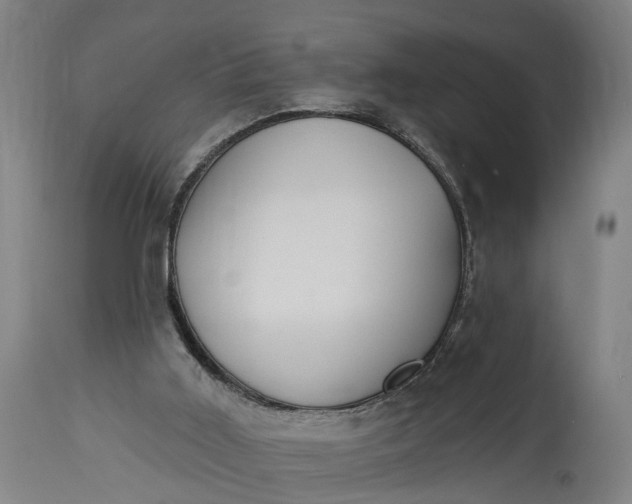 X0000115290011200911161645