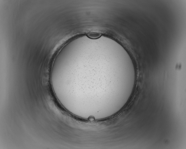 X0000115290012200911161644