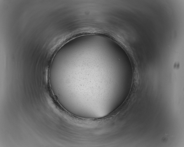 X0000115290014200911161644