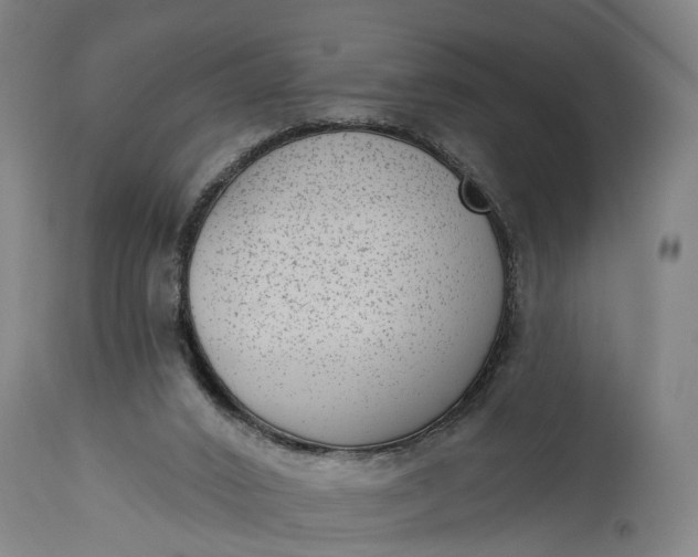 X0000115290016200911161644