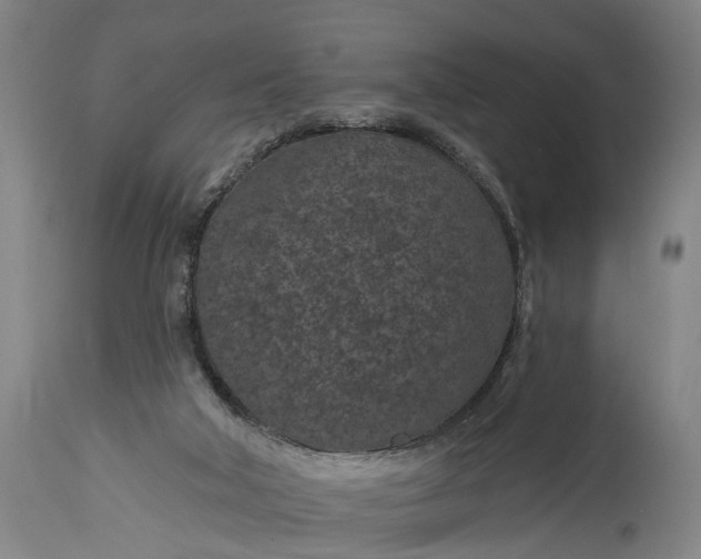 X0000115290018200911161644