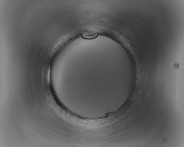 X0000115290019200911161644