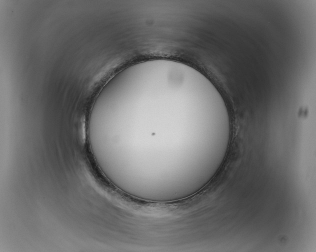 X0000115290020200911161644
