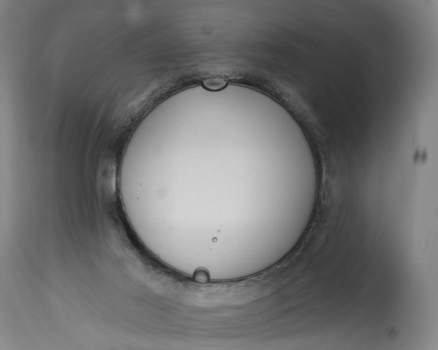 X0000115290021200911161644