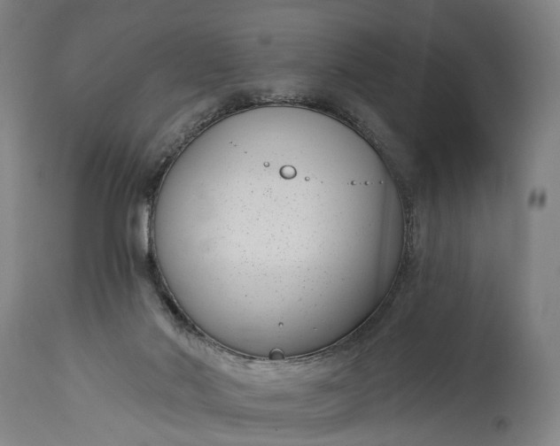 X0000115290022200911161644