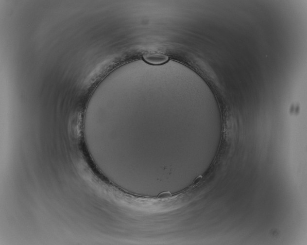 X0000115290023200911161644