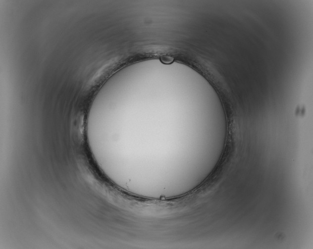 X0000115290024200911161644