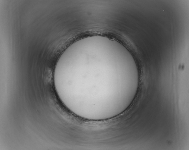 X0000115290025200911161644