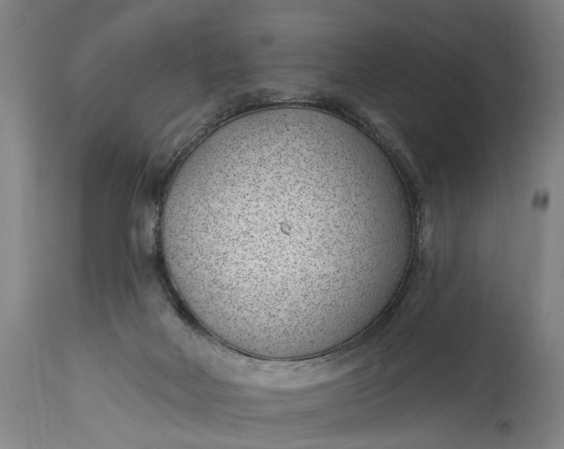 X0000115290026200911161644