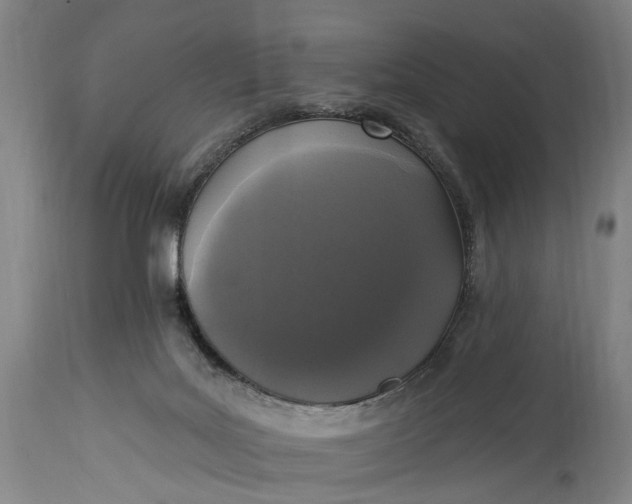 X0000115290027200911161644