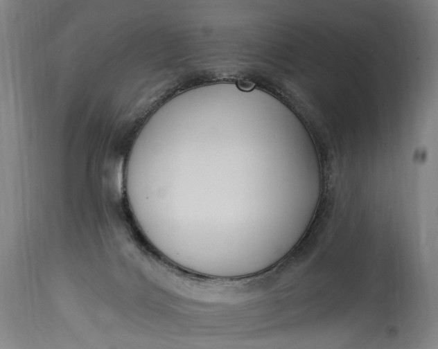 X0000115290028200911161644