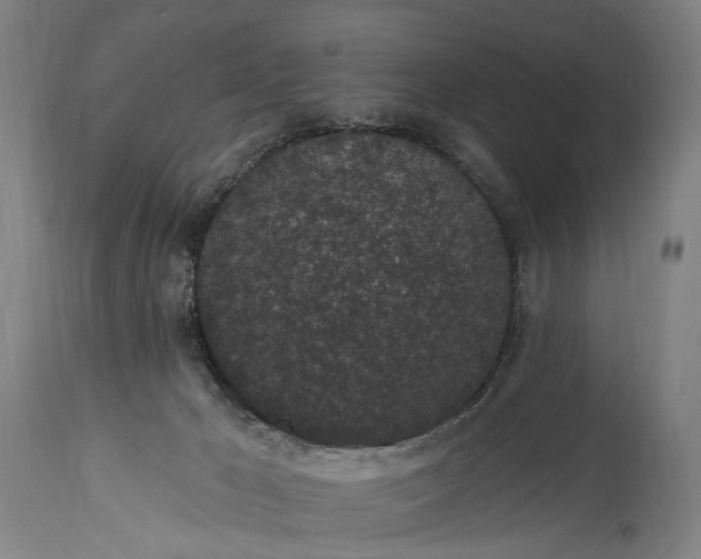 X0000115290029200911161644