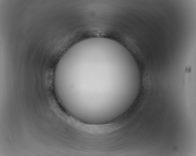 X0000115290030200911161644