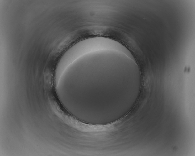 X0000115290031200911161644