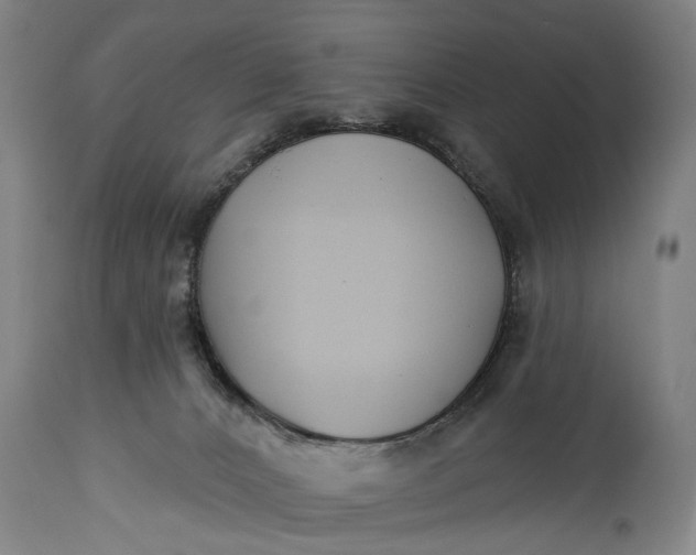 X0000115290032200911161644