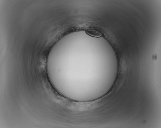 X0000115290033200911161644