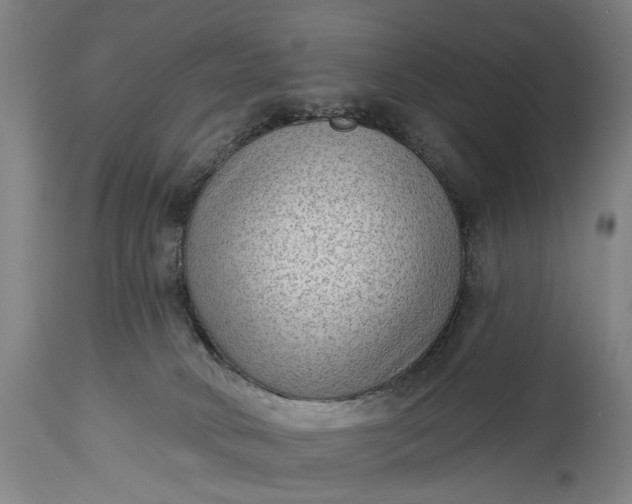 X0000115290034200911161644