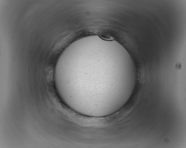 X0000115290036200911161644