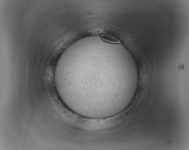 X0000115290037200911161644