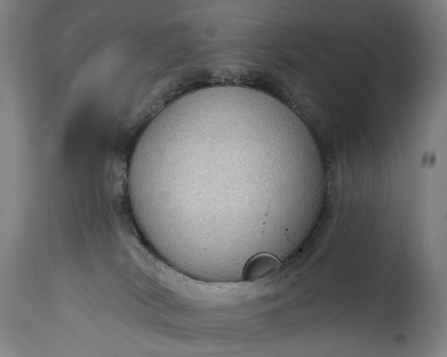 X0000115290038200911161644