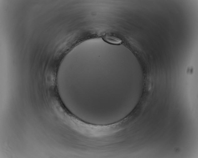 X0000115290039200911161644