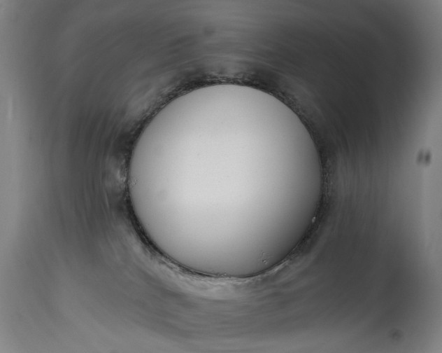 X0000115290040200911161644