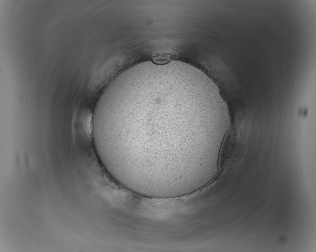 X0000115290041200911161644