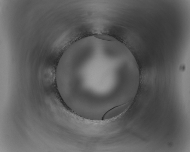 X0000115290043200911161644