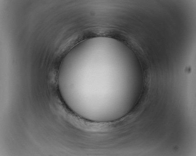 X0000115290044200911161644