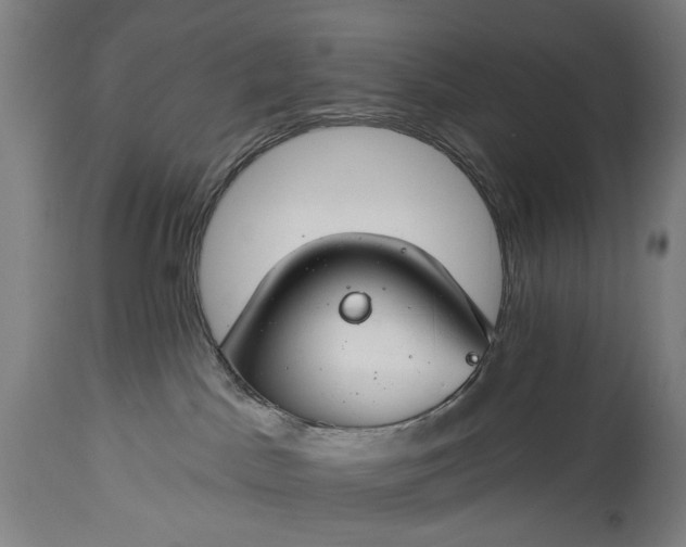 X0000115290045200911161644