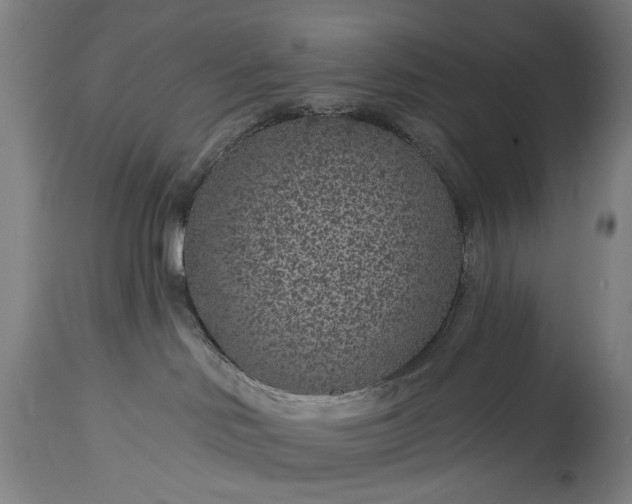 X0000115290046200911161644