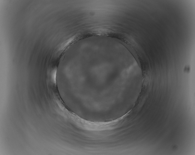 X0000115290047200911161644