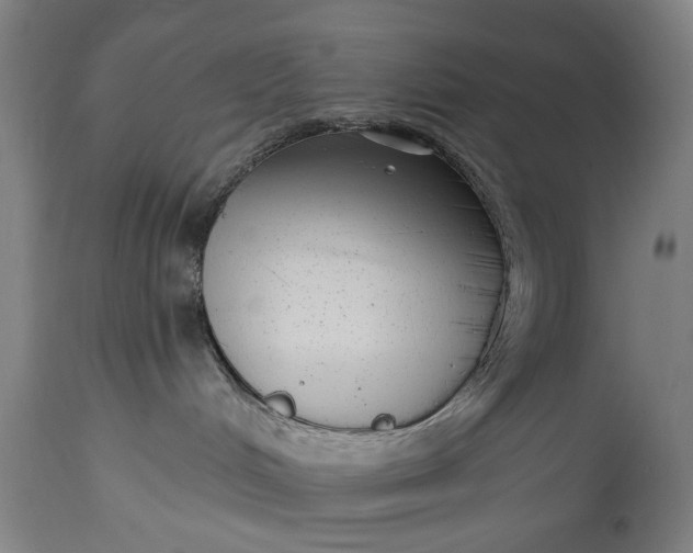 X0000115290048200911161644