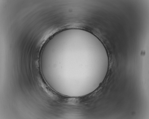 X0000115290050200911161643