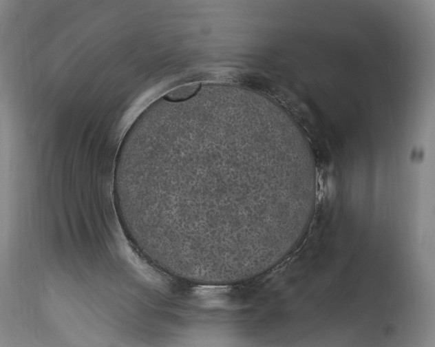 X0000115290051200911161643