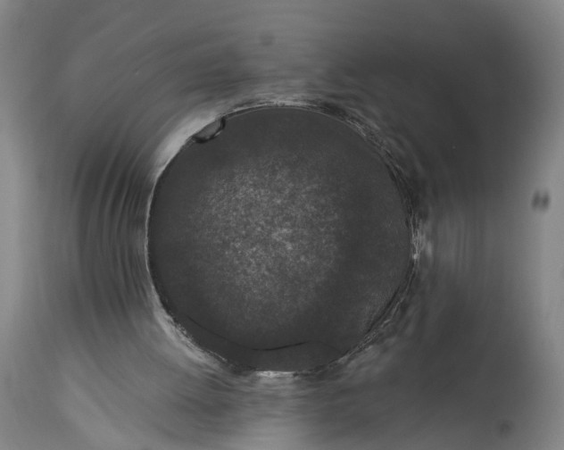 X0000115290052200911161643