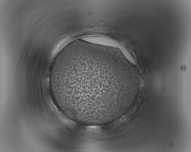 X0000115290053200911161643