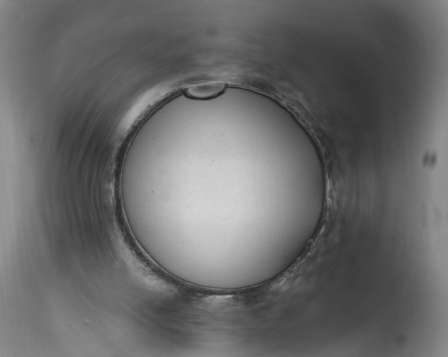 X0000115290054200911161643