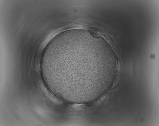 X0000115290055200911161643