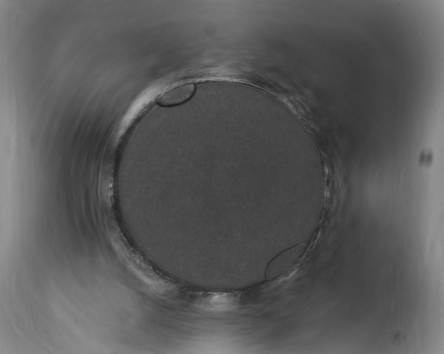 X0000115290056200911161643