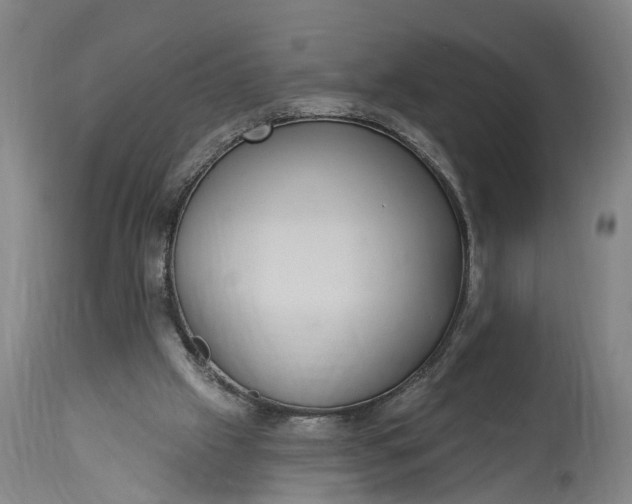 X0000115290057200911161643