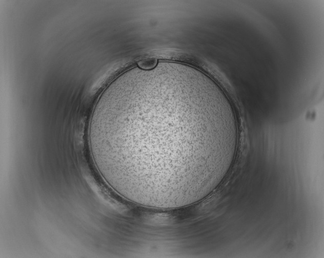 X0000115290058200911161643