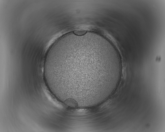 X0000115290059200911161643