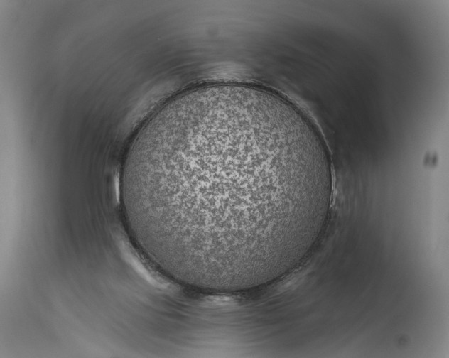 X0000115290061200911161643